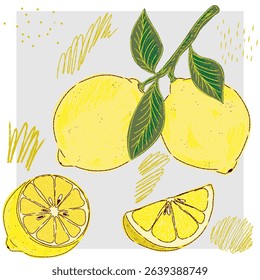 Lemon on a branch. Mediterranean element, exotic tropical. Textured illustration with hand drawn sketch elements
