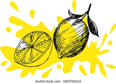 Lemon on a bright background. Vector graphics.