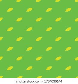 Lemon on the light green background