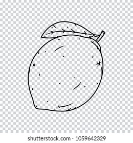 Lemon on a transparent background
