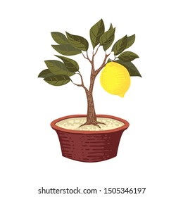 Lemon on a tree in a flower pot. Vector illustration