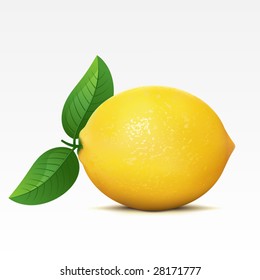 Lemon on a white background