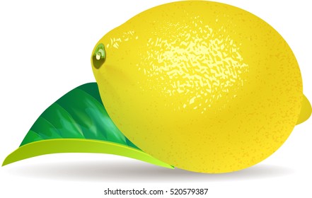 Lemon on a white background.