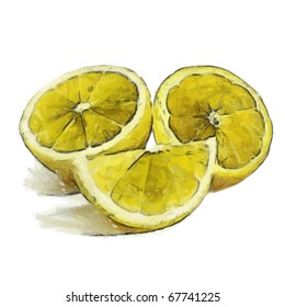 lemon on a white background