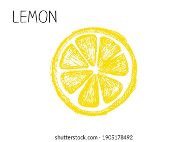 Lemon on a white background hand-drawn vector illustration