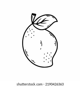 Lemon on white background. Vector doodle illustration. Hand drawn sketch. Postcard decor element. Icon  restaurant for me.