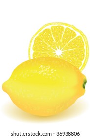 Lemon on a white background, vector