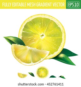 Lemon on white background. Vector illustration