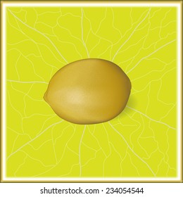 Lemon on yellow background. Created using gradient meshes. 