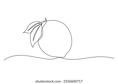 Lemon one continuous line illustration. Hand drawn doodle sketch of food