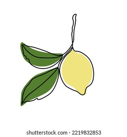 Lemon one line drawing. Simple abstract minimal style. ine art logo, icon, label