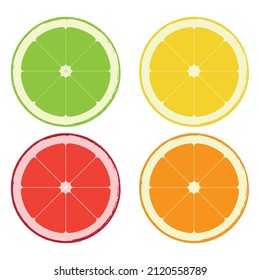 Lemon or orange fruit vector image