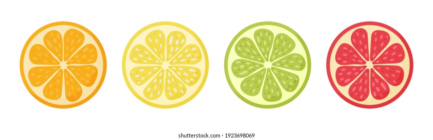 Lemon, Orange, Grapefruit, Lime.Set Hand Drawn Doodle Citrus. Vector Illustration.