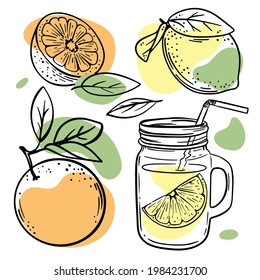 LEMON ORANGE JUICE In Glasslock And Tropical Fruits Whole and Halved With Leaves For Design Your Store And Restaurant Hand Drawn In Sketch Vector Illustration Set