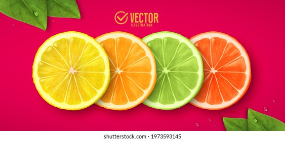 Lemon, orange, lime and grapefruit. Vector realistic illustration.