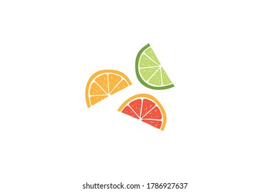 Lemon, orange, lime set. Citrus fruit vector illustration isolated on white background