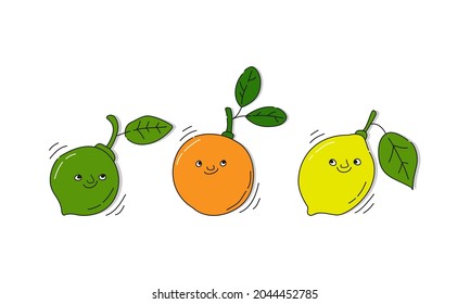 Lemon orange and lime with smile on white background. Whole citrus fruits. Cartoon sketch. Doodle style with black contour line. Cute hand drawn bottle. Party drinks concept. Freehand drawing style.