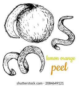 Lemon and orange peel. Hand drawn. Black and white sketch. Isolated white background. Engraving. packaging, labels