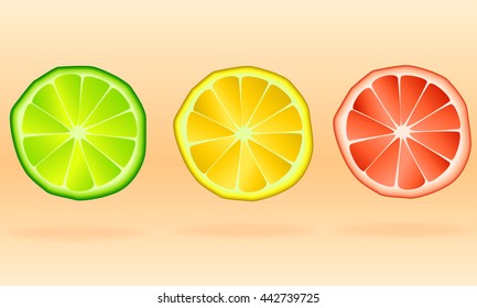 lemon orange and pomelo slice piece graphic vector