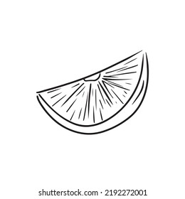 Lemon orange slice black hand drawn sketch illustration isolated on white background. Vector drawing in doodle line art. Citrus ingredient for mulled wine, tea, cheesecake, fish. Diet, vitamin