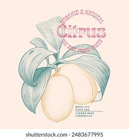 Lemon Orange summer print design , t-shirt print design, vintage fruit graphic, Orange fruit graphic design for vector , summer fruit print for lemon, orange with brunch and flower vector art,