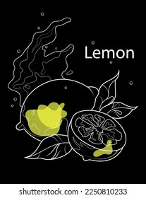 Lemon. Outline drawing with an inscription. Drawing on a dark background with colored elements. Exotic fruit with splashes.