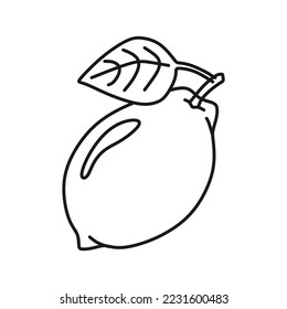 Icono de contorno de limón, ilustración de vector de fruta en estilo de diseño moderno, aislado en fondo blanco. Los mejores recursos gráficos editables para muchos fines. Adecuado para sitio web, logotipo y ui. 