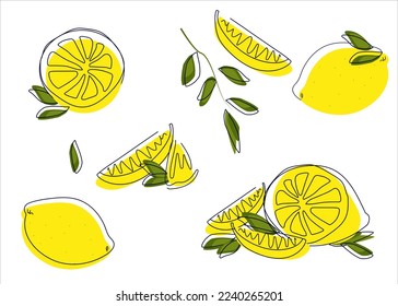 Diseño de empaque de limón. Lemones con estilo de arte en línea. Ilustración vectorial con fondo blanco.