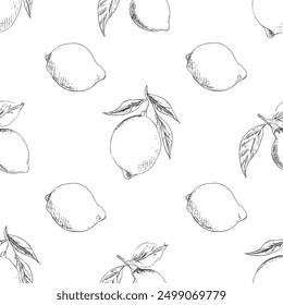 Lemon Pattern, Hand-Drawn Vector, Graphic Style, Cartoon Illustration, Black and White, Sketch Style, Isolated on White Background