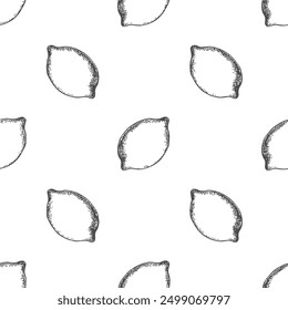 Lemon Pattern, Hand-Drawn Vector, Graphic Style, Cartoon Illustration, Black and White, Sketch Style, Isolated on White Background