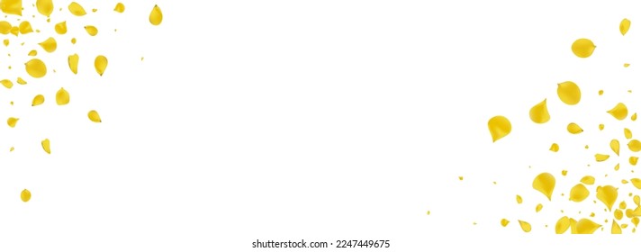 Vector Blur De Cubierta De Limón Fondo Panorámico Blanco. Cubierta de la subasta. Papel de fondo japonés con flores de mostaza. Fondo Gold Lotus Japan.