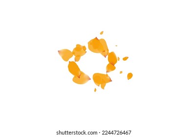 Lemon Peony Fly Vector White Background. Dutch Blossom Texture. Delicate Floral Summer Frame. Yellow Peach Beauty Cover.
