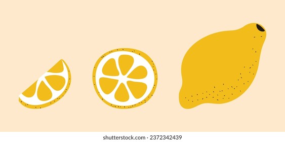 Lemon, a piece of a mug and a slice. Cut Round Piece. Sour fruit pulp. Yellow citrus peel. Doodle style. Color image. Isolated objects. Vector illustration.