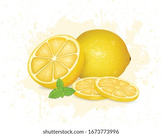 lemon with lemon pieces  and mint leaves vector illustration