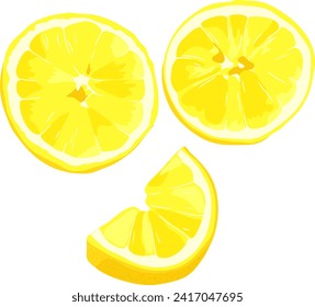 Lemon pieces. Sour citrus. Vector illustration.