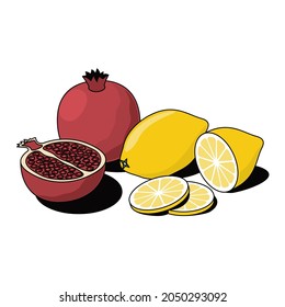 Lemon and pomegranate. Vector 3d sketch line isometric, color icon illustration, flat style. Creative design idea and elements for infographics and website.