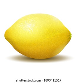 Lemon. Realistic 3d vector illustration of a lemon on white background