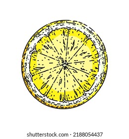 lemon ripe slice hand drawn vector. citrus cut food, freash fruit, half citron lemon ripe slice sketch. isolated color illustration