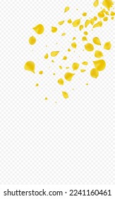 Lemon Rose Japan Vector Transparent Background. Flying Blossom Design. Yellow Petal Fly Backdrop. Gold Flower Blur Illustration.