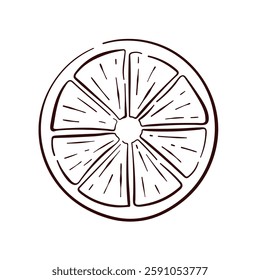 Lemon round slice in line art style. Tropical summer citrus fruit piece with segments. Design for menu, fruit and grocery store. Vector illustration isolated on a white background.