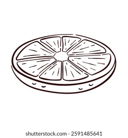 Lemon round slice in line art style. Tropical citrus hand drawn fruit piece with design for menu, logo, package, fruit and grocery store. Isolated on a white background.