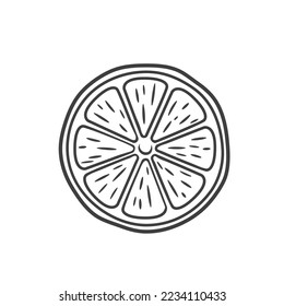 Lemon round slice line icon vector illustration. Hand drawn outline one citrus piece of circle shape with segments inside, slice of fresh sour lemon fruit with vitamin C, symbol of tropical summer