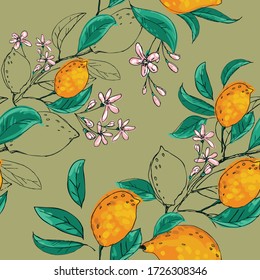 Limón. El fondo de un jardín floreciente con frutas tropicales y hojas. Diseño de fondo para empaque, papel, textiles, productos ecológicos. Gráfica vectorial en el estilo dibujado a mano. Doodle.