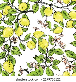 Limón. El fondo de un jardín floreciente con frutas tropicales y hojas. Diseño de fondo para empaque, papel, textiles, productos ecológicos. Gráfica vectorial en el estilo dibujado a mano. Doodle.