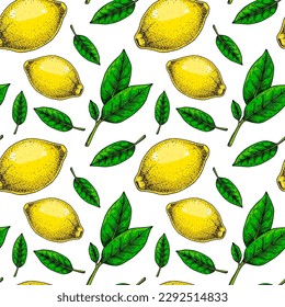  Lemon seamless pattern. Colorful hand drawn vector illustration in sketch style. Tropical exotic citrus fruit summer backgroun