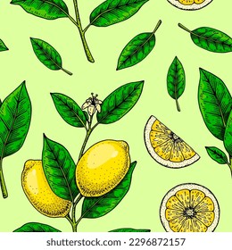  Lemon seamless pattern. Colorful hand drawn vector illustration in sketch style. Tropical exotic citrus fruit summer backgroun