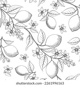 Lemon seamless pattern . Fruit, leaf and flowers.