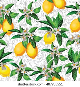 Lemon seamless pattern on white background. Vector illustration with citrus.