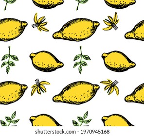 Lemon Seamless Pattern, summer fruit design. Lemons, leaves and flowers. Hand drawn sketch vector illustration.