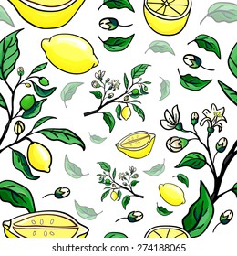 lemon seamless pattern. vector